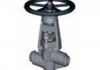 S 21 GLOBE VALVE WITH INTEGRATED STUFFING SEAL